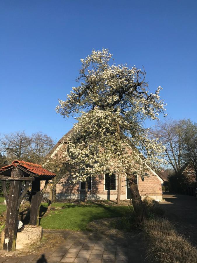 Appartement "In De Wolken" In Gees Zewnętrze zdjęcie